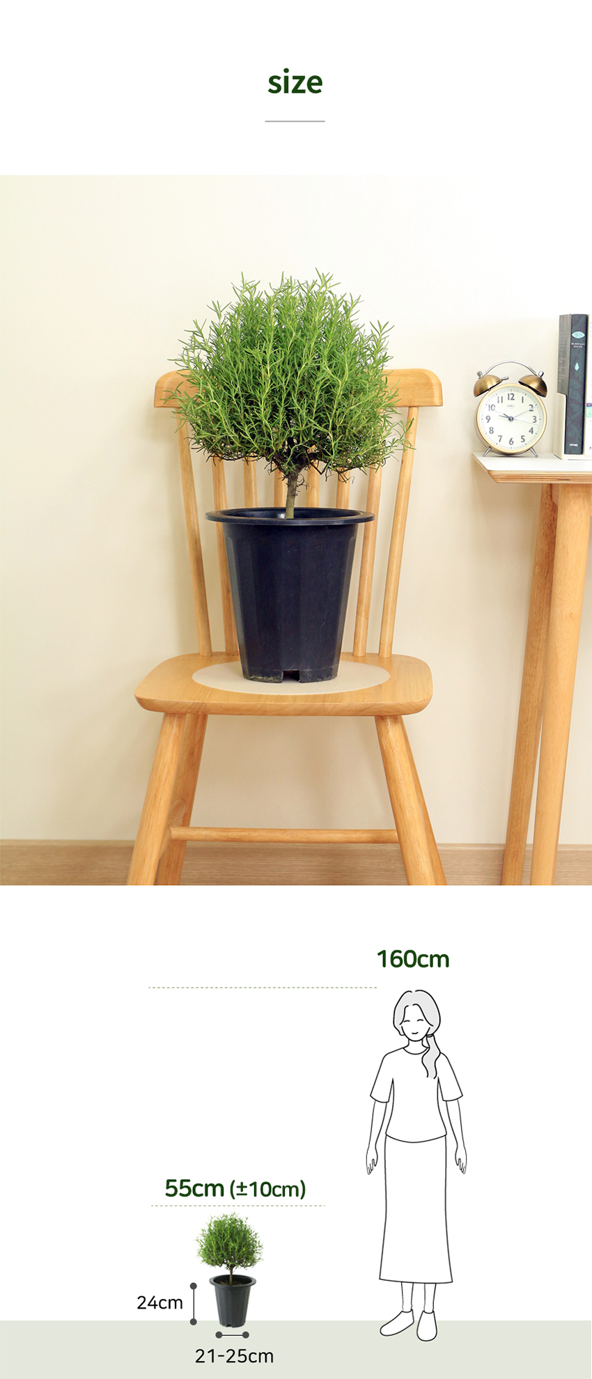 19191ecc9fed8e1399863a8486a73c7d_1758607525_9821.png 19191ecc9fed8e1399863a8486a73c7d_1758607525_9821.png