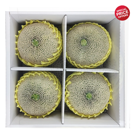 멜론선물세트8kg