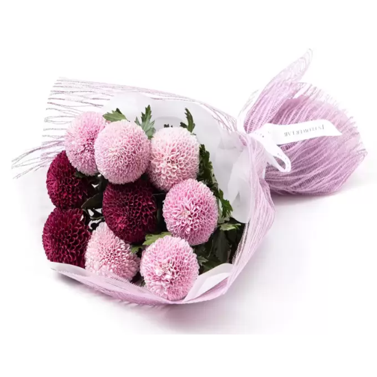 제이스플라워랩 퐁퐁 국화 꽃다발