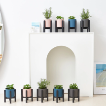 허브식물 9팩 14cm 24cm