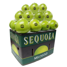 미국 메로골드자몽 16kg