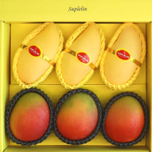 애플 태국망고 선물세트 2.8kg