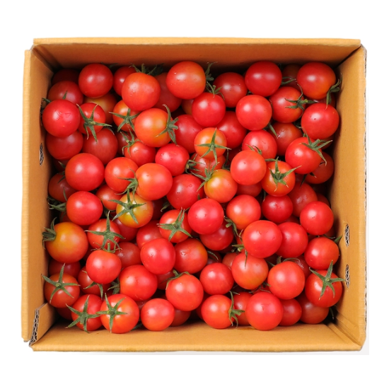 실키 핑크토마토4kg