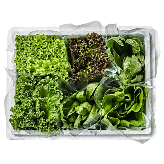 유러피언 쌈채소 5종(440g)